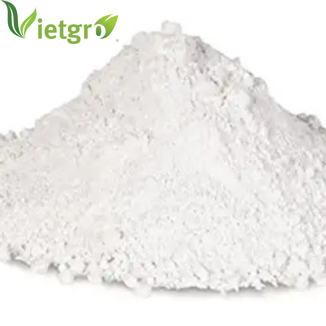 VGF High Quality Hydrated Lime Calcium Hydroxide Slaked Lime - Vietnamese Supplier - White powder