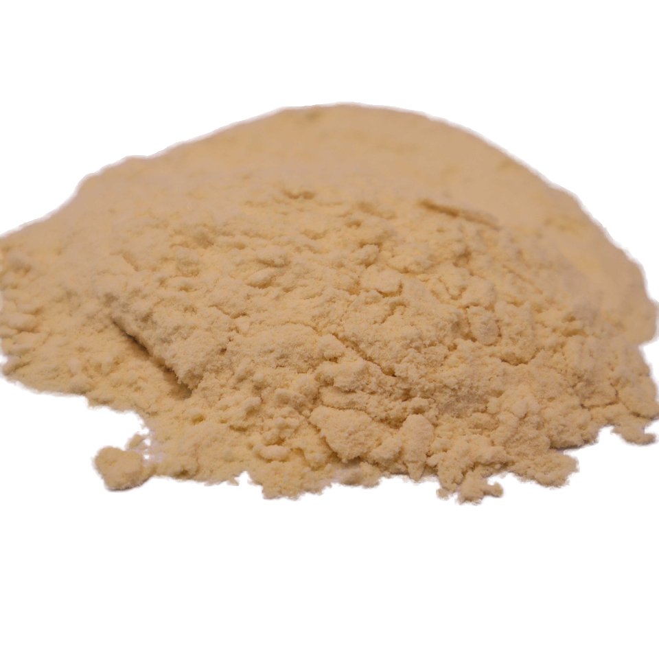 Natural 200:1 Aloe Vera powder