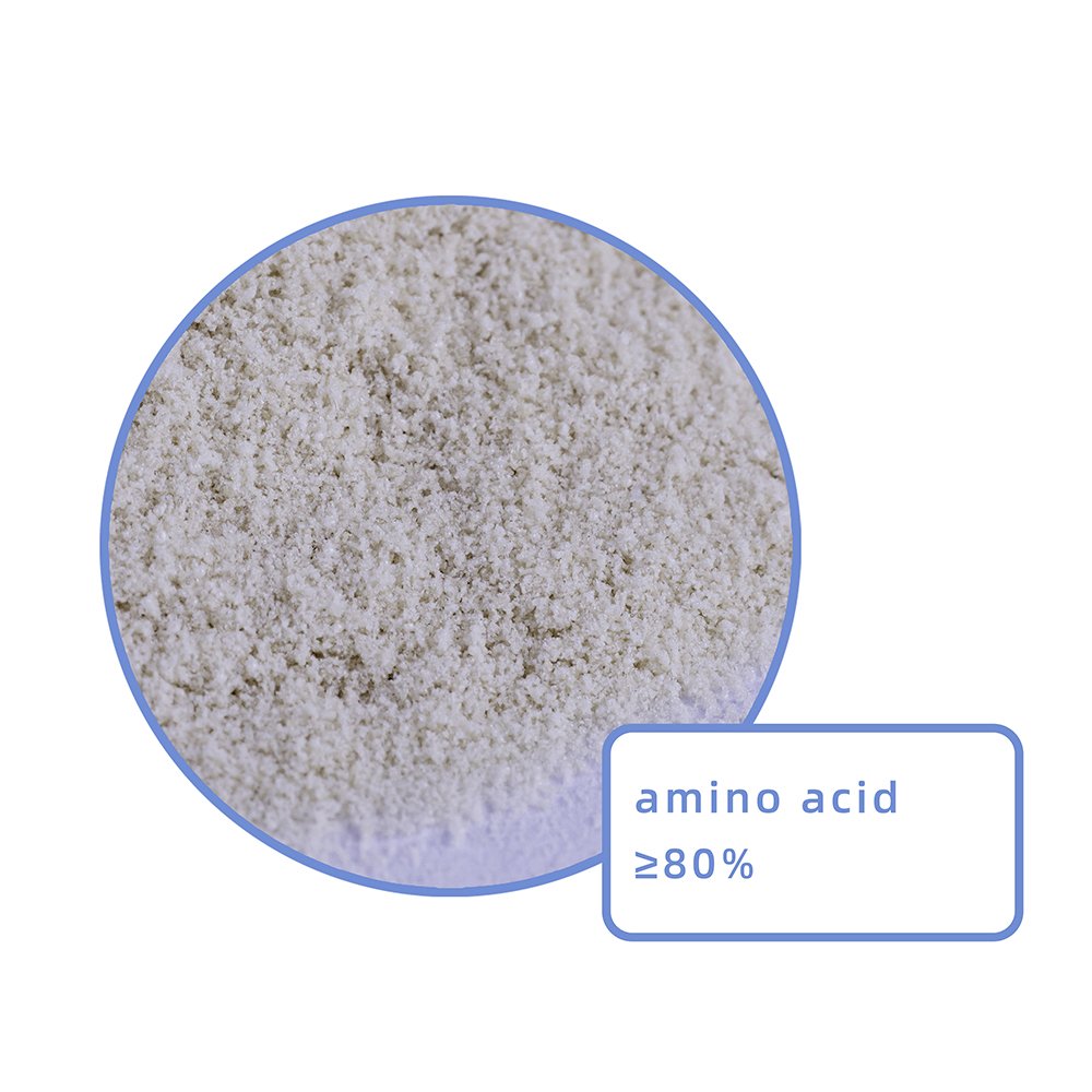 High Quality Plant derived Organic 80%Amino Acid Powder Fertilizer Agriculture Organic Intermediate Enzymatic Hydrolysis Process