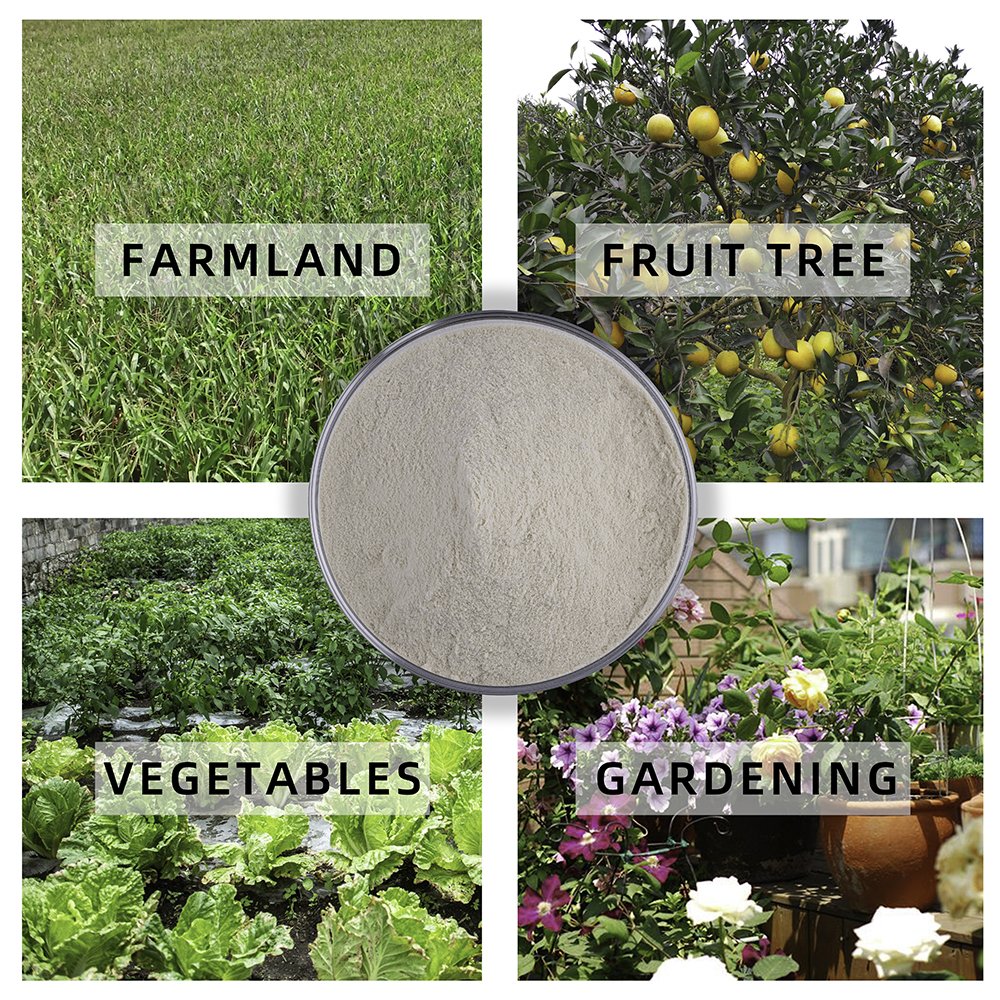 High Quality Plant derived Organic 80%Amino Acid Powder Fertilizer Agriculture Organic Intermediate Enzymatic Hydrolysis Process