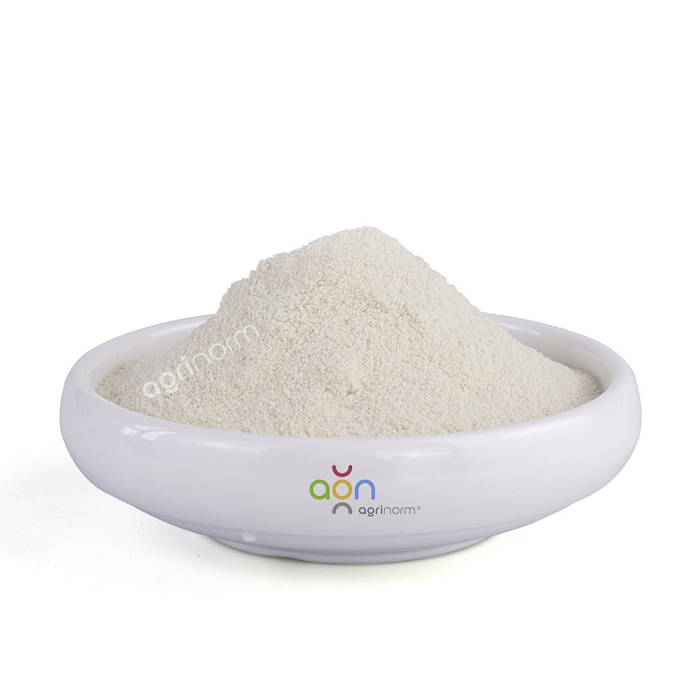 High Quality Plant derived Organic 80%Amino Acid Powder Fertilizer Agriculture Organic Intermediate Enzymatic Hydrolysis Process
