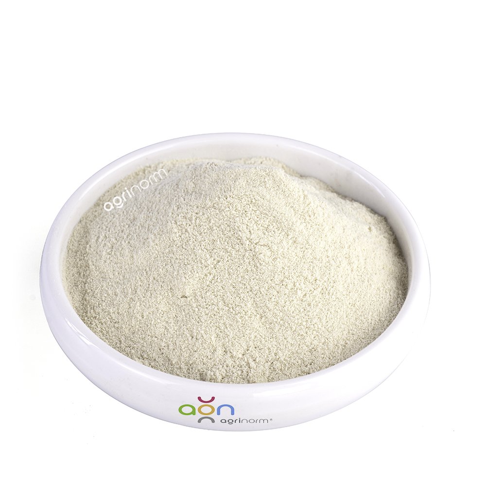 High Quality Plant derived Organic 80%Amino Acid Powder Fertilizer Agriculture Organic Intermediate Enzymatic Hydrolysis Process