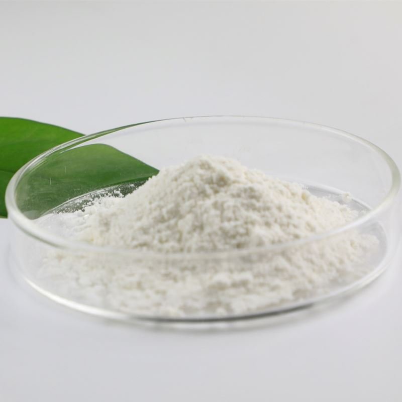Pure Natural cocoa extract 10% 20% 99% theobromine powder CAS 83-67-0