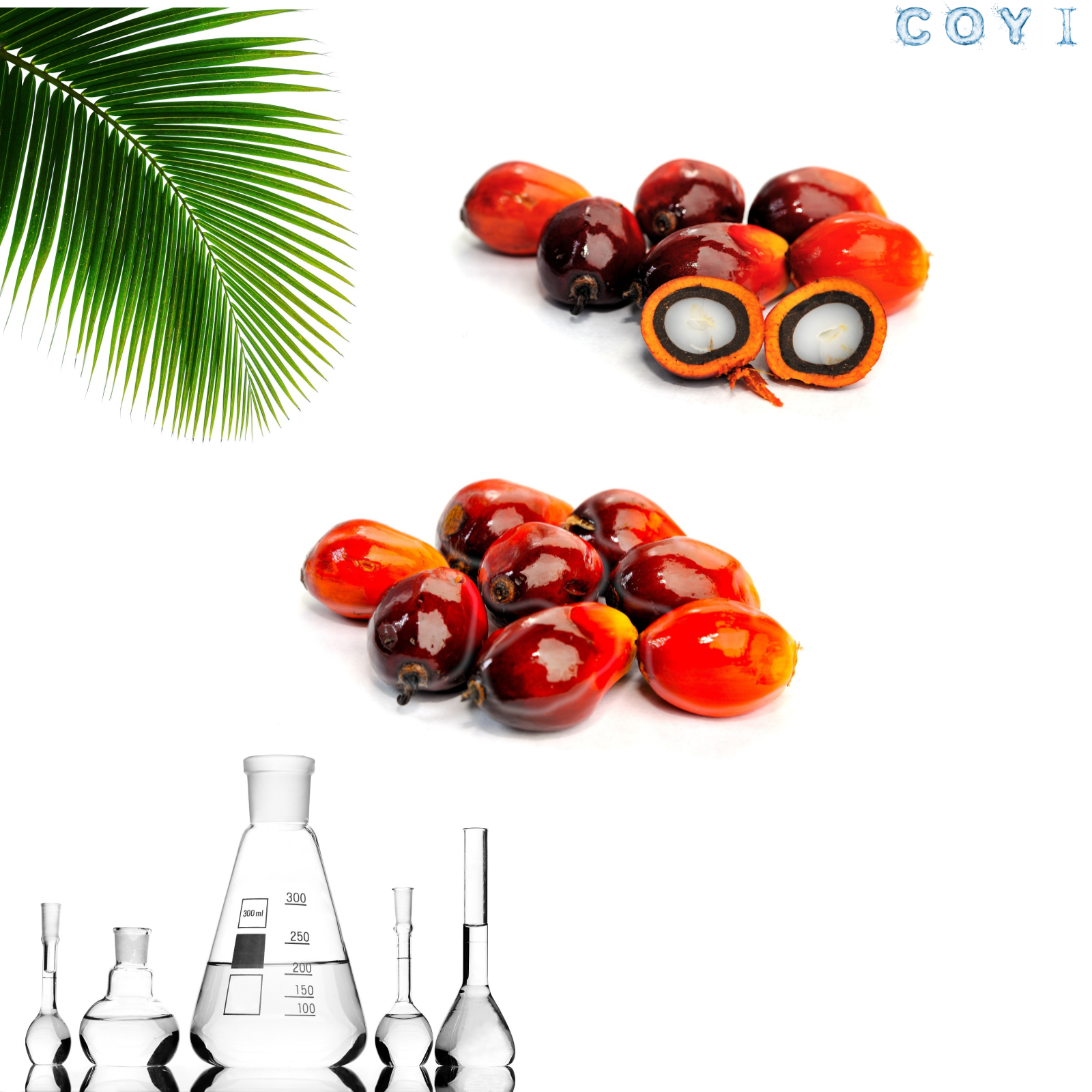 COYI 2EHS Ethylhexyl Stearate Organic Chemical with Molecular Formula C26H52O2 CAS 22047-49-0