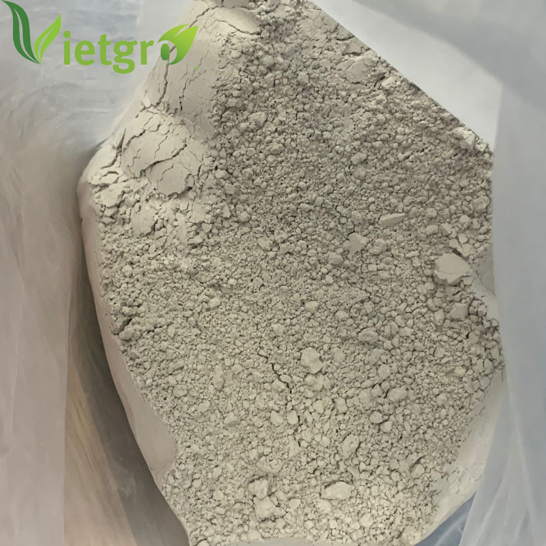 VGF High Quality Dolomite Powder - Vietnamese Supplier - Calcium Magnesium Carbonate