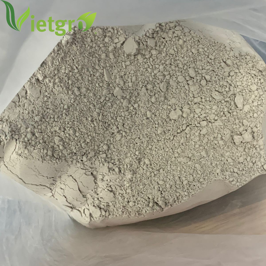 VGF High Quality Dolomite Powder - Vietnamese Supplier - Calcium Magnesium Carbonate