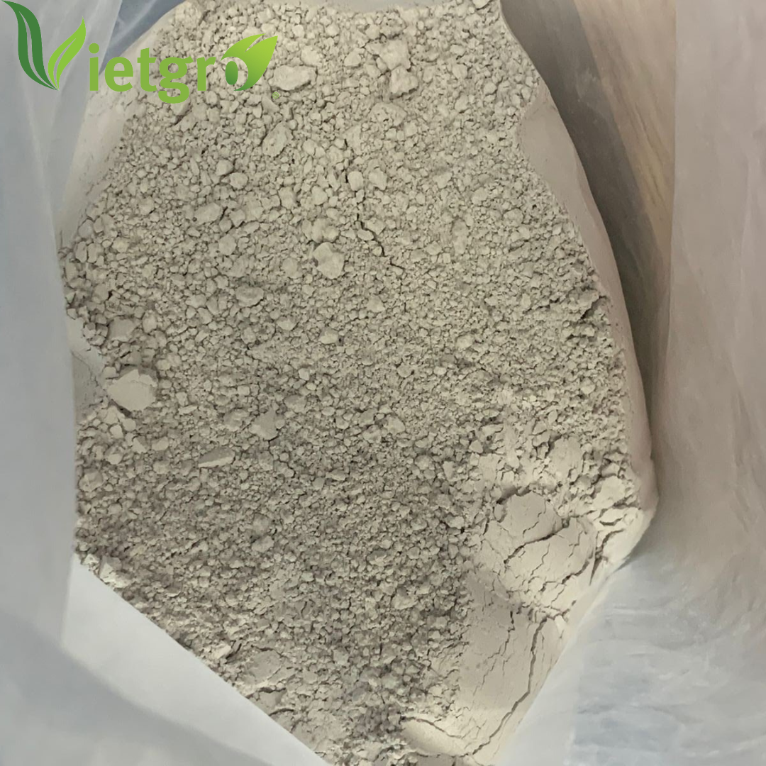 VGF High Quality Dolomite Powder - Vietnamese Supplier - Calcium Magnesium Carbonate