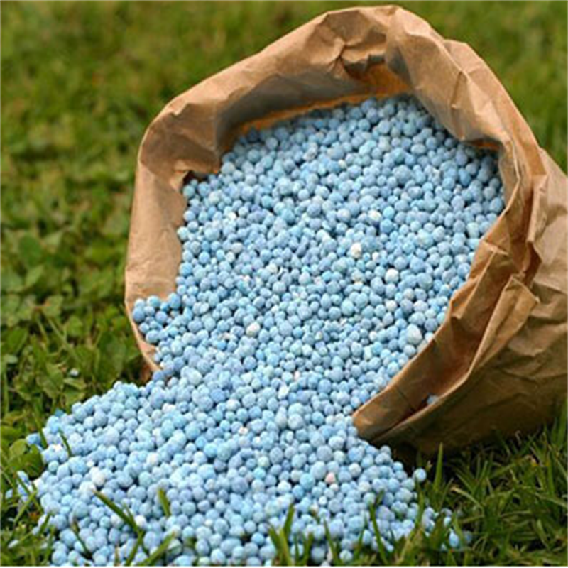 Very Effective Organic Fertilizer for Agriculture Increase Soil Fertility and Yield by 25%