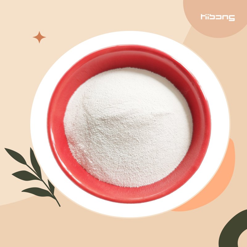 Shellight Organic Intermediate Cas 7048-04-6 L-Cysteine Hcl Monohydrate Powder Nutritional Supplement Food Additive Various