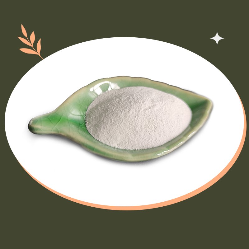 Shellight Organic Intermediate Cas 7048-04-6 L-Cysteine Hcl Monohydrate Powder Nutritional Supplement Food Additive Various