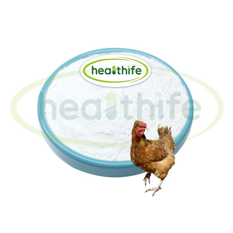 Healthife CAS 157115-85-0 99% GVS-111 Noopept Powder