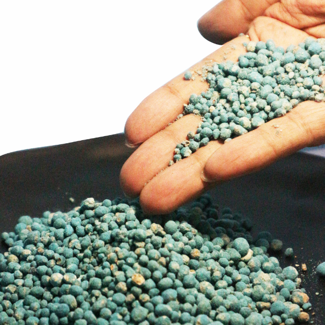 NPK 16.16.16 fertilizer makes your plants fertile and healthy from indonesia