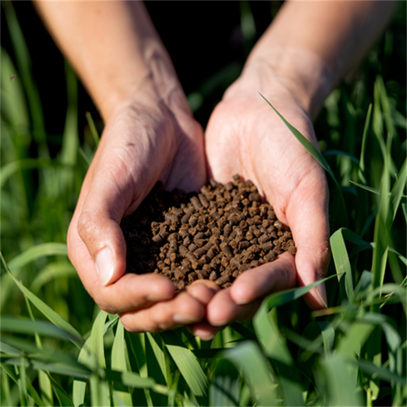 Fertilizer Urea 46% Nitrogen Fertilizer Large Particles Small Particles Cheap Agricultural Fertilizer Quality