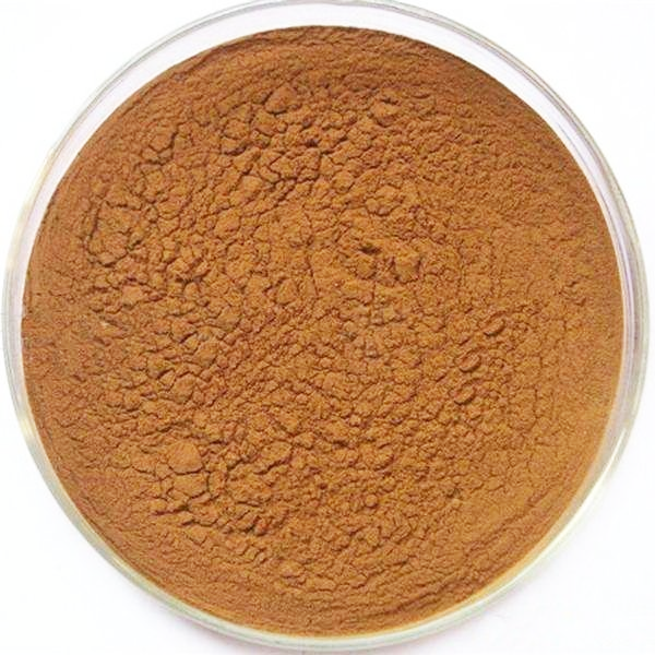 Tannic acid CAS 1401-55-4 Tannic acid price