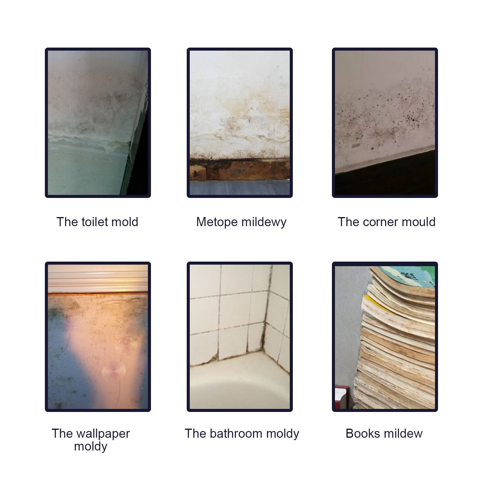 Jaysuing Mildew Removal Spray Ceiling Bathroom Tile Wall Multi Effect Cleaning And Decontaminating Mildew Removal Spray