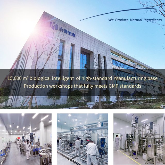 Free Minor Customization 100% Pure Natural Top Quality Shikimic Acid Powder Shikimic Acid