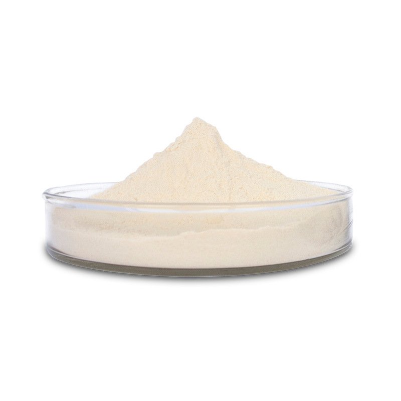 Organic bulk pineapple bromelain enzyme 2500 gdu/g 5000 food grade pure Bromelain powder