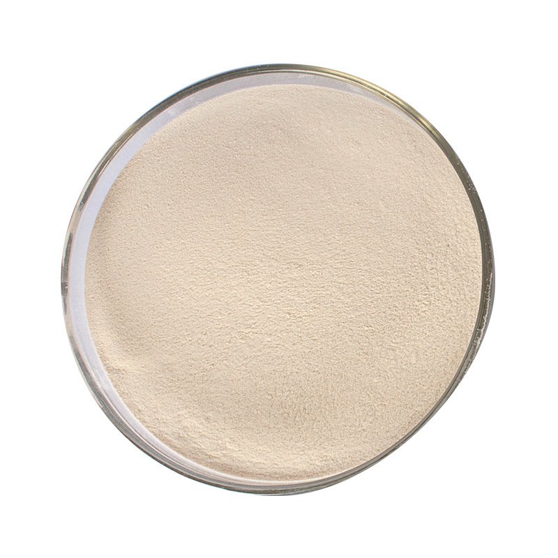 Organic bulk pineapple bromelain enzyme 2500 gdu/g 5000 food grade pure Bromelain powder