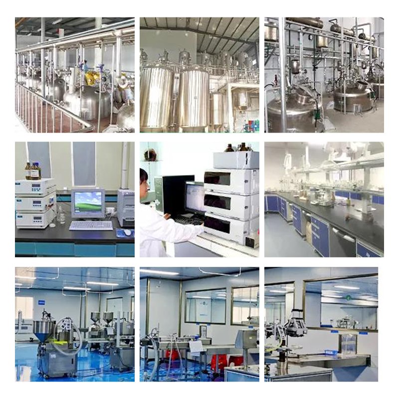 BSF Factory Best Price for Ge-132 12758-40-6 Organic Germanium Powder 99.5%-99.999% with alias Germanium Sesquioxide Test Sample