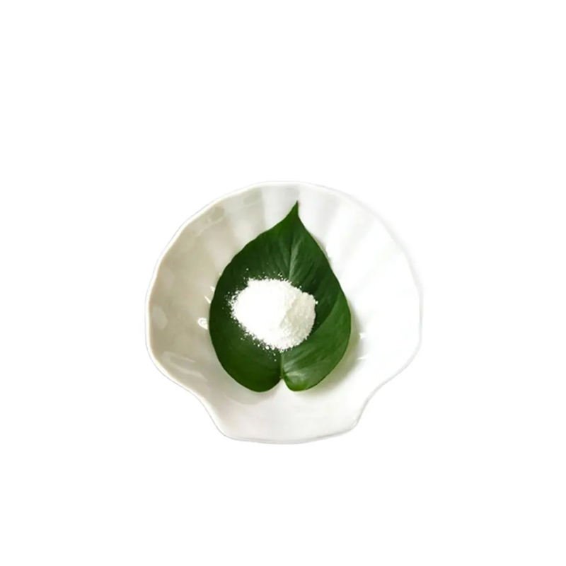Lowest Price Supply Dimethyl Terephthalate Powder CAS 120-61-6 Door to Door