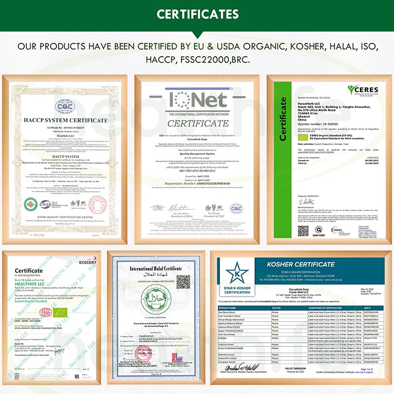 Healthife Food Grade N-Acetyl-L-Cysteine Ethyl Ester 99% NACET