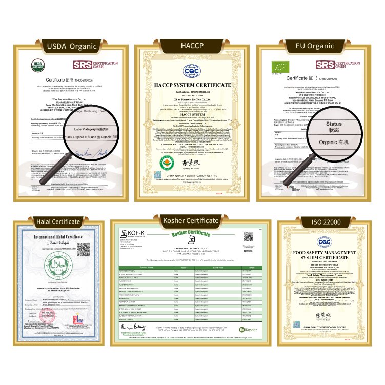 Wholesale Price Bulk NR Nicotinamide Riboside Chloride Powder