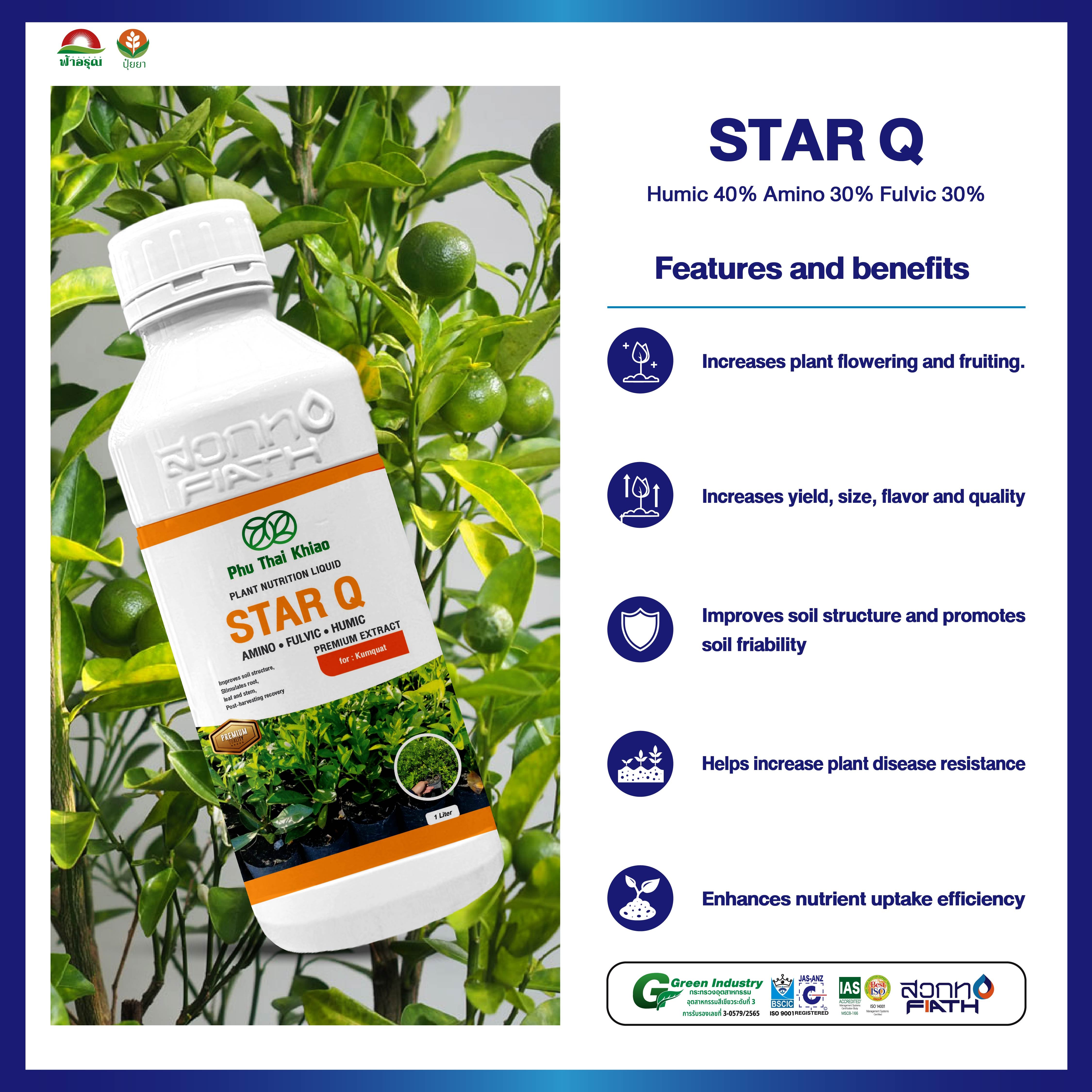 STAR Q Organic Liquid Fertilizer Humic Amino Fulvic Plant Nutrition from Thailand for Kumquat Agriculture