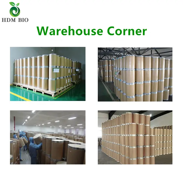 High Purity Adenosine Triphosphate Disodium ATP powder