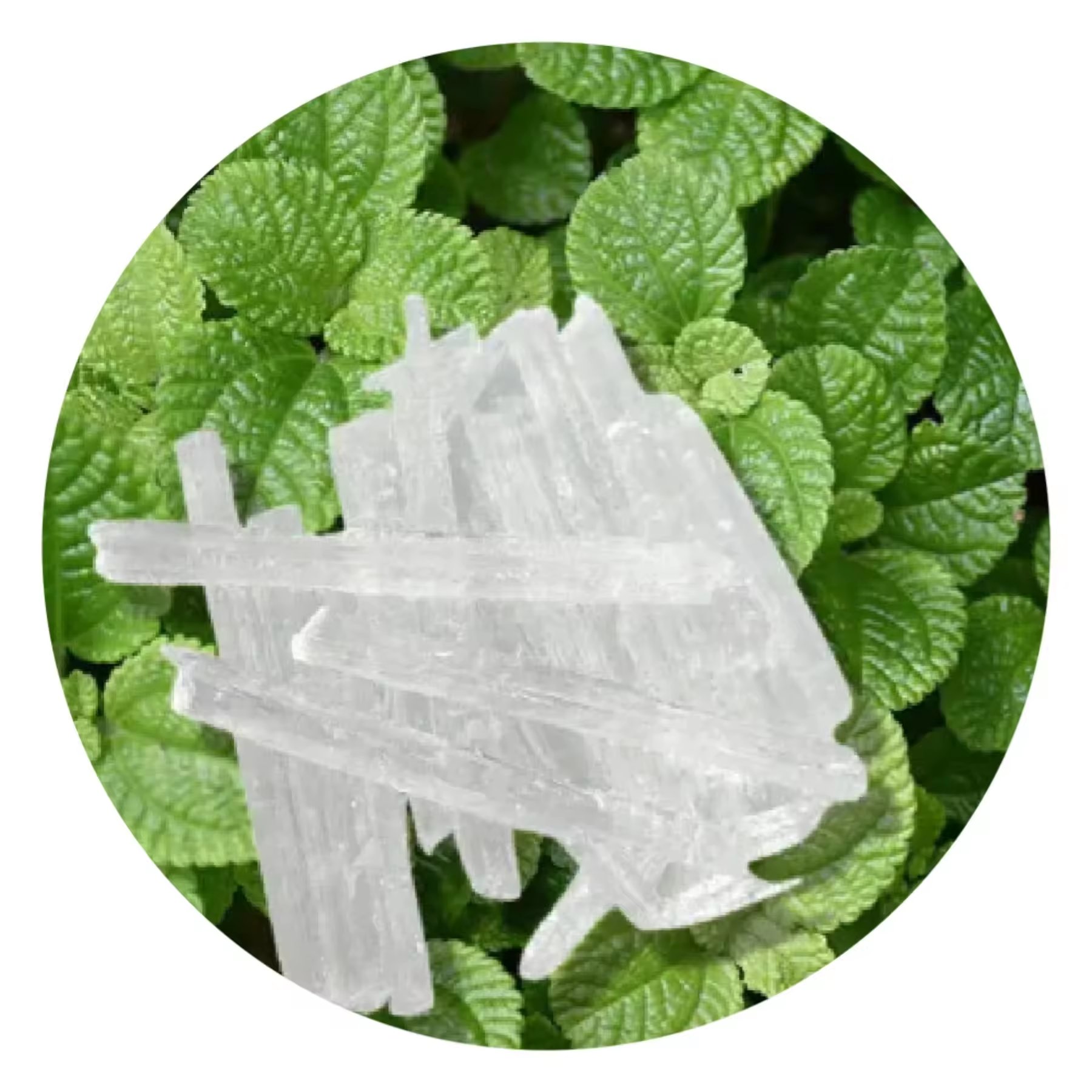 Reasonable price manufacturers supply fast delivery crystal DL-menthol CAS 89-78-1 Organic compound white crystal 2 years white