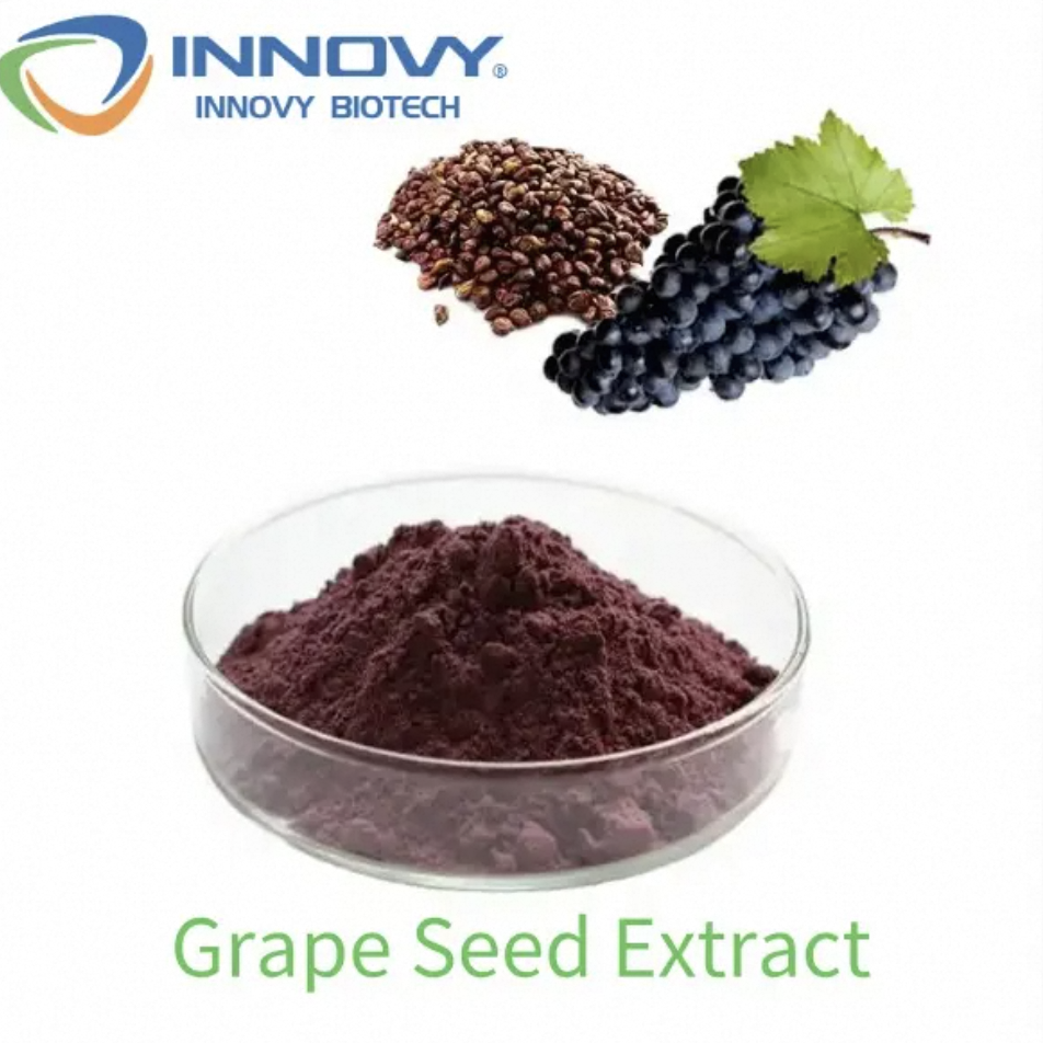 Innovy Plant Extract Grape Seed Extract Powder 20: 1 Top Quality