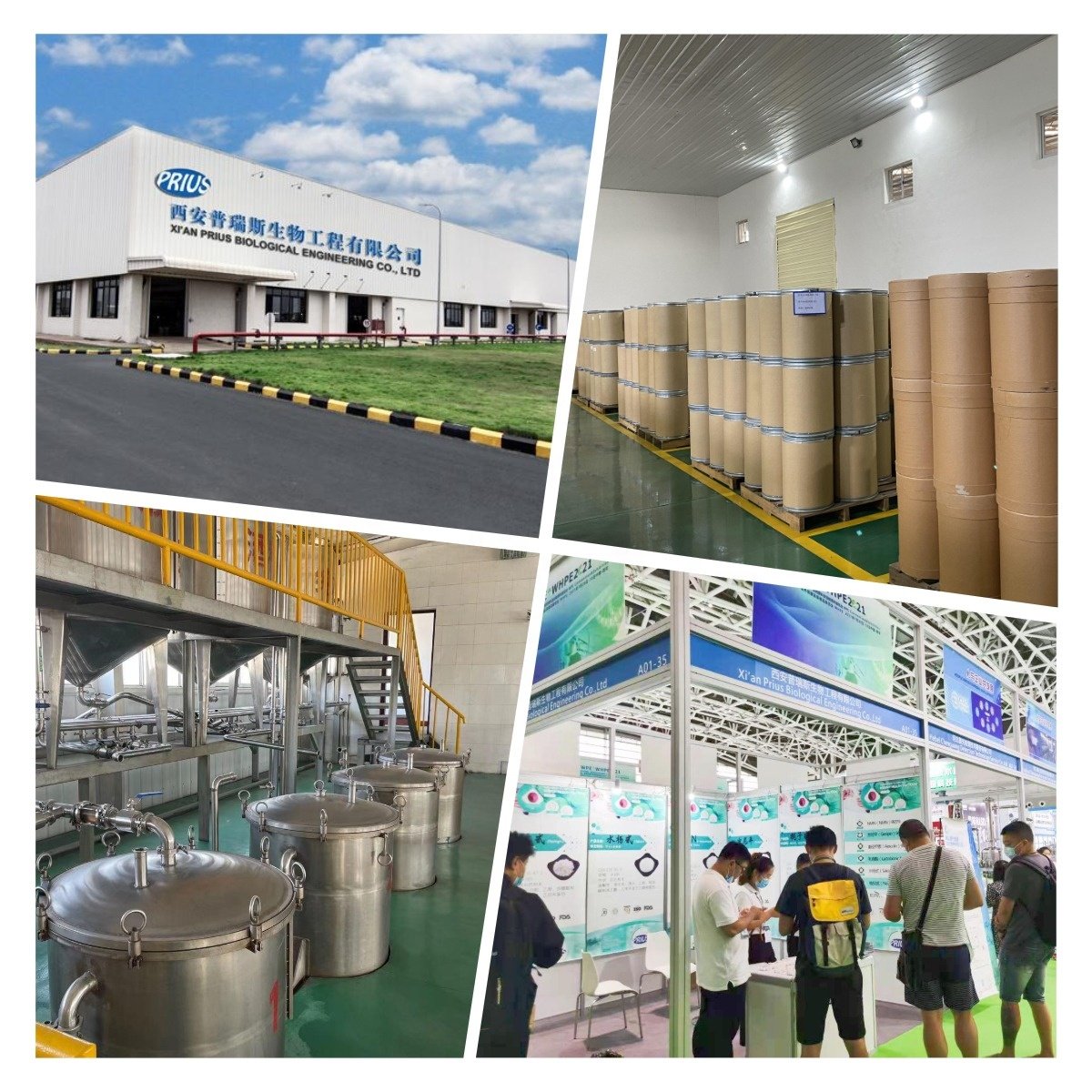High Purity dihydroberberine capsules powder cas 483-15-8 99% dihydroberberine