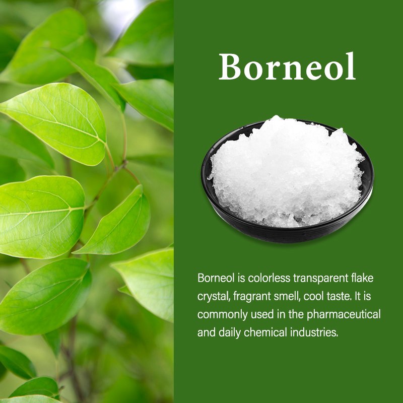 Factory Supplier Wholesale Bulk Menthol Crystal Camphor Powder Borneol For Chemicals Perfume Incense and as a Flavoring in Food