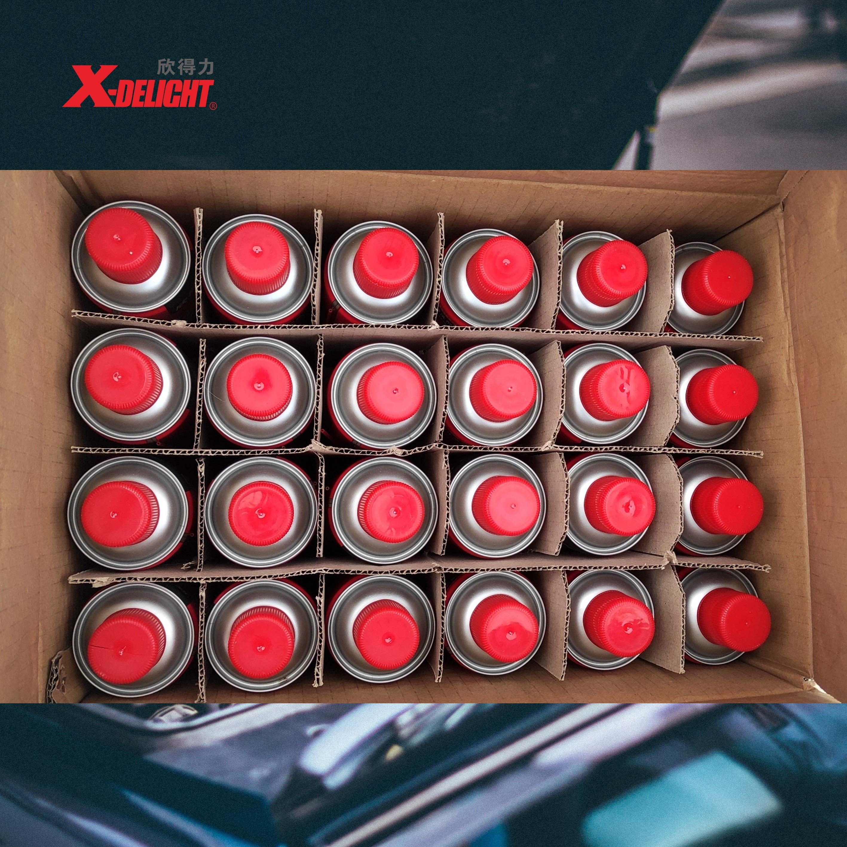 X-DELIGHT 450ML Carburetor Cleaner Fuel Treatment Gas Additive Engine Injector Cleaner For Cars