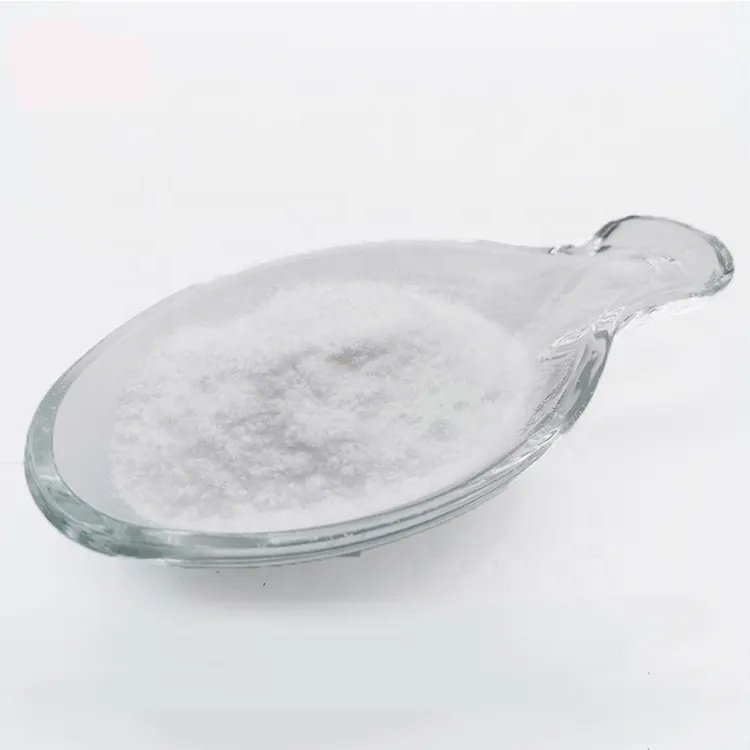 Food Grade White Powder Crospovidone PVPP CAS 9003-39-8 Crospovidone Pvpp With Factory Price