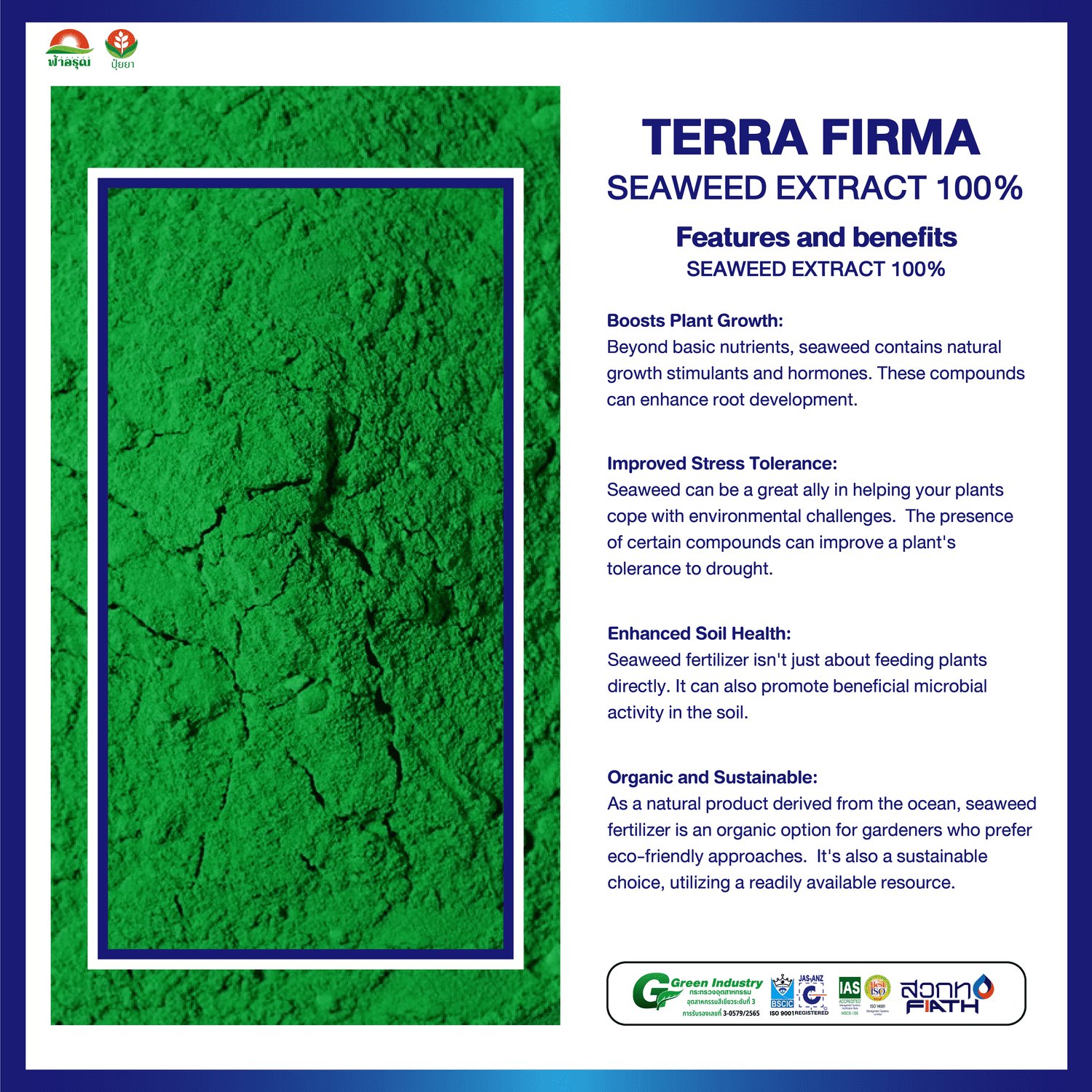 TERRA Organic Seaweed Extract Granule Fertilizer Quick Release Soil Conditioner for Plant Nutrition Agriculture in Thailand