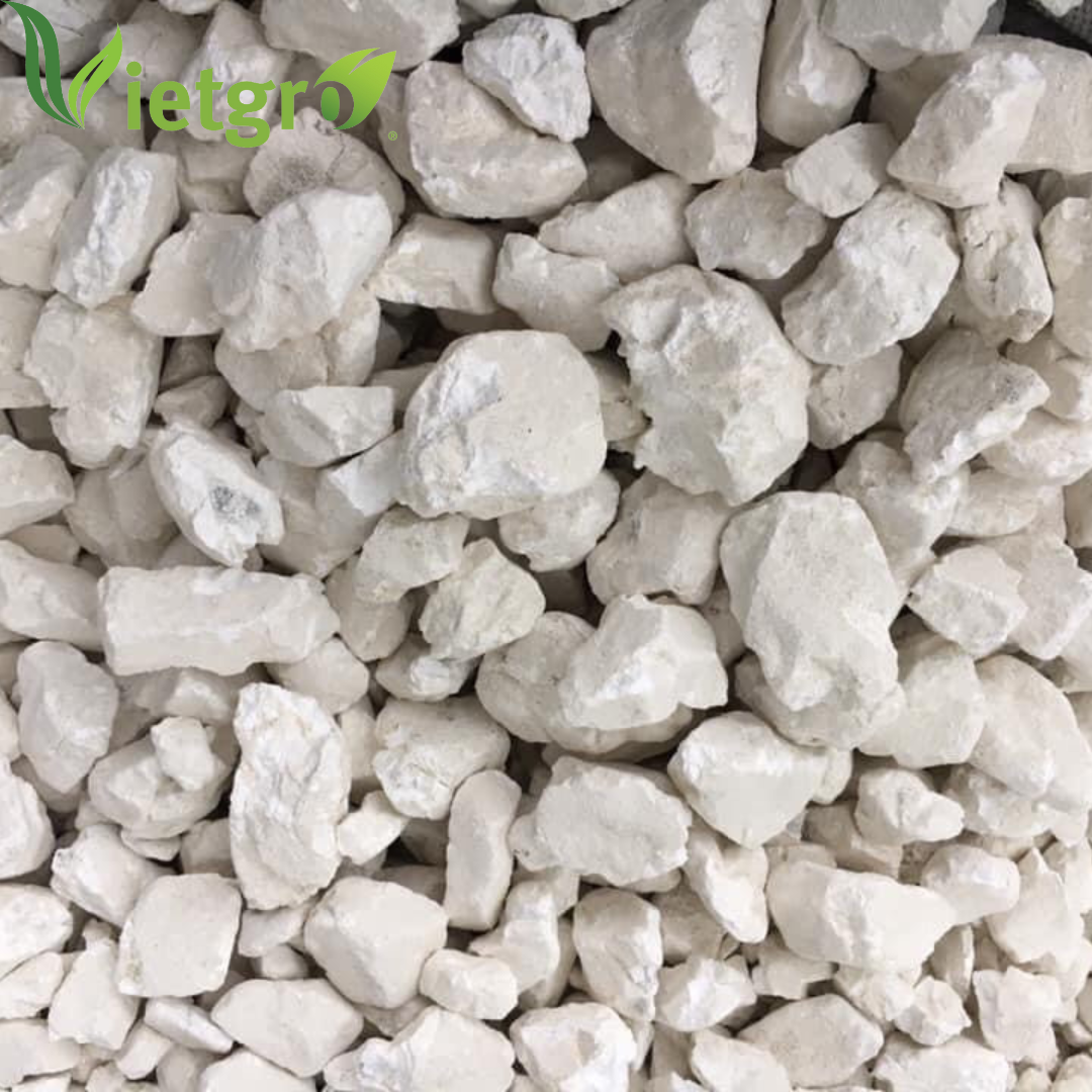 VGF Wholesale High Quality Quicklime Calcium Oxide (CaO) - Vietnamese Supplier - High Purity - White Rock