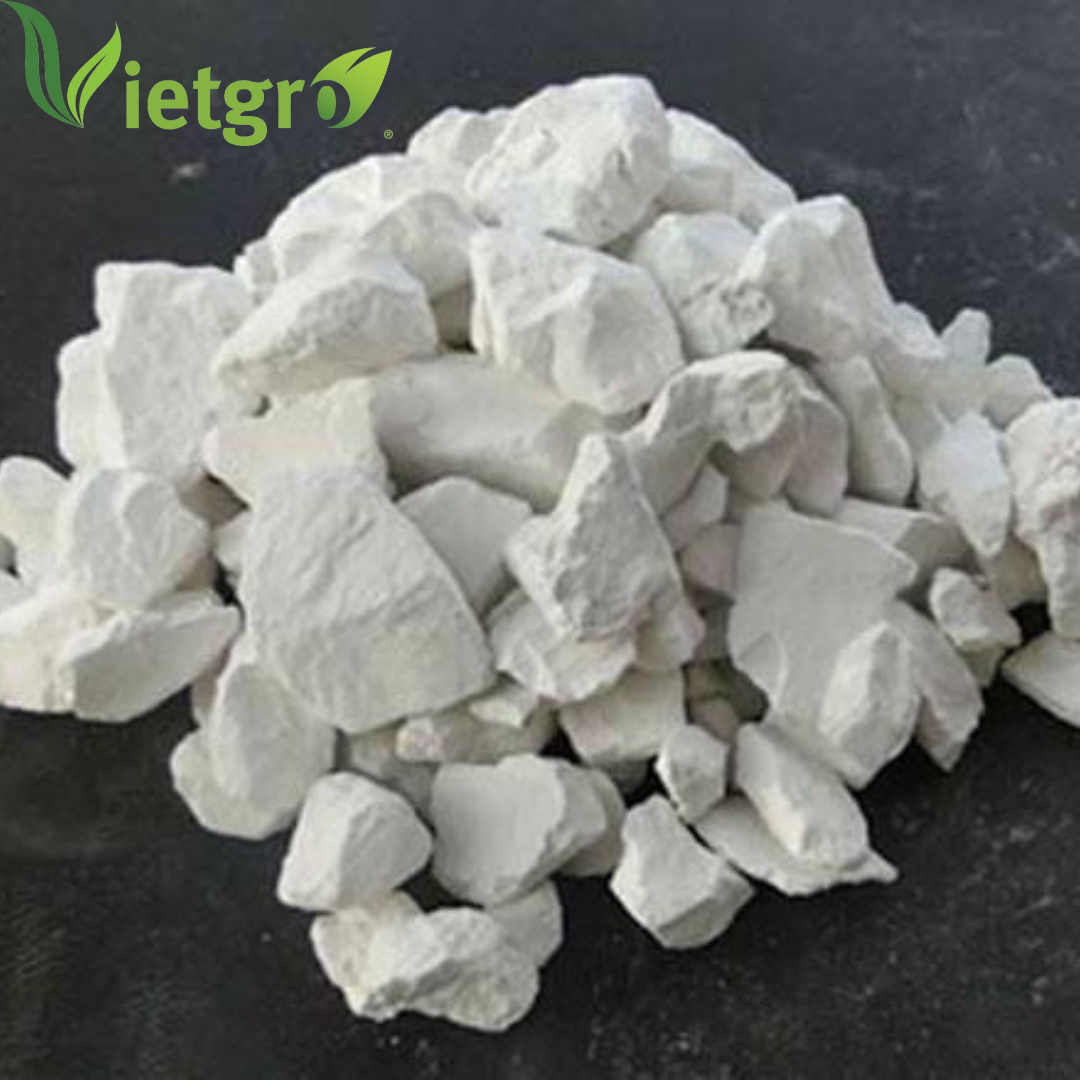 VGF Wholesale High Quality Quicklime Calcium Oxide (CaO) - Vietnamese Supplier - High Purity - White Rock