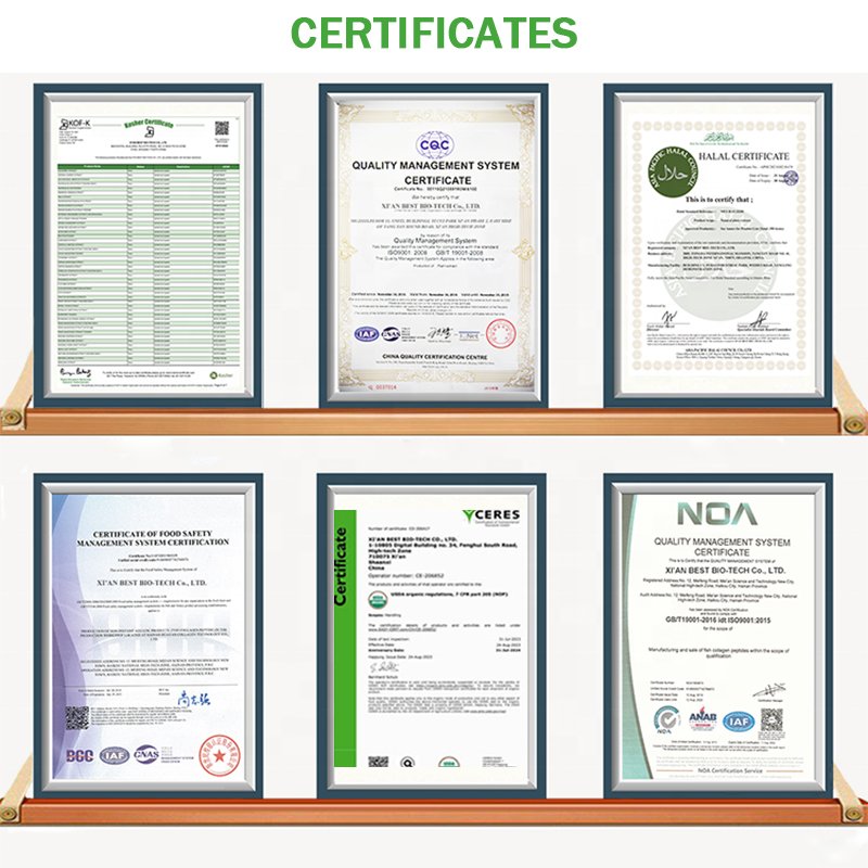BEST NAC N-Acetyl L-Cysteine CAS 616-91-1 N-Acetylcysteine Powder 99% N-Acetyl-L-cysteine