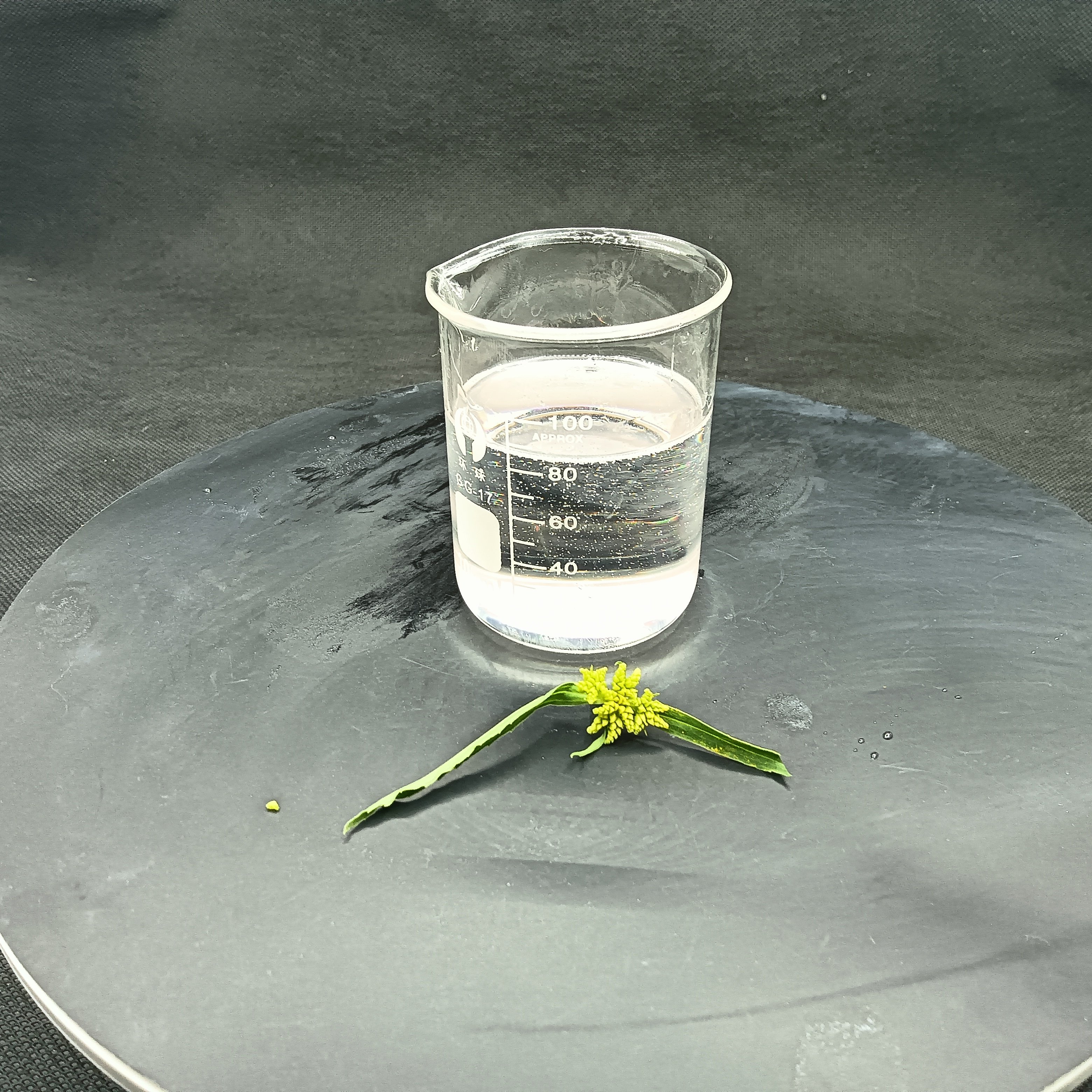 Best Organic Chemicals Solvent Good Price Cosmetic Grade Fragrance Grade DPG Dipropylene Glycol, Dipropylene Glycol price