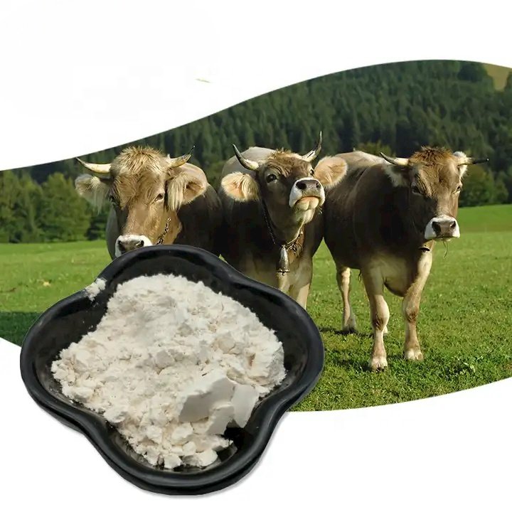 Innovy Bulk Supply Best Price High Quality Bovine Collagen Peptide Powder