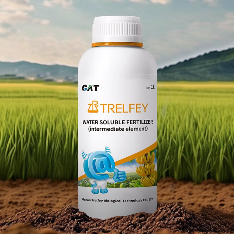 Edta Trace Element Boron and Zinc Intermediate Element Multi Trace Elements Fertilizer for Plants Bottle Liquid Quick Manure