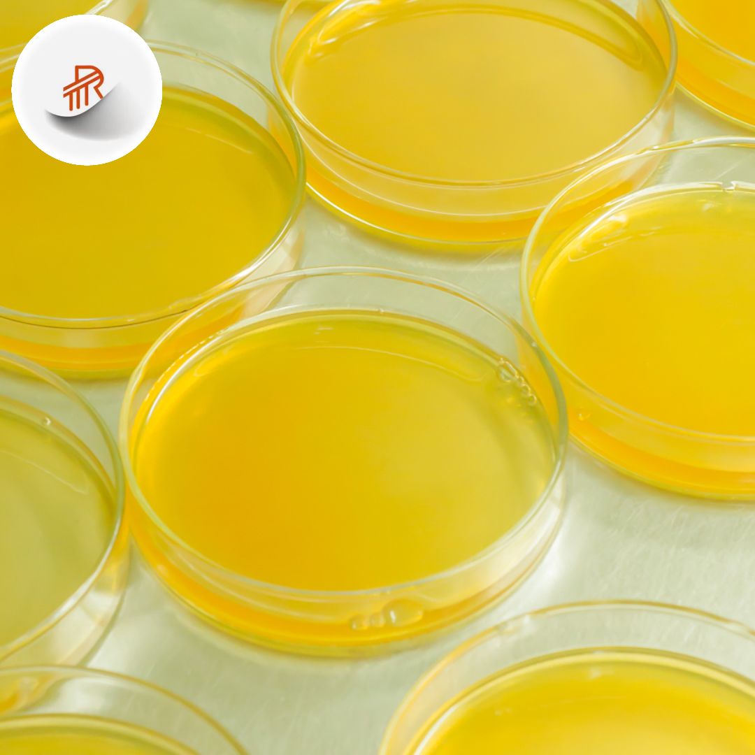Cosmetics Grade Pure Organic Bulk Raw CAS 8006-54-0 Raw Lanolin Lanolin anhydrous Lanolin Lubricant