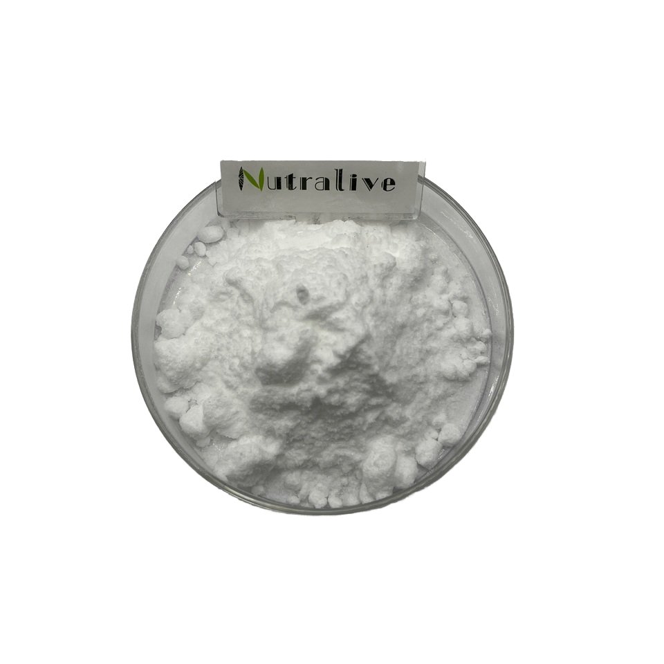 Creatine Monohydrate Powder