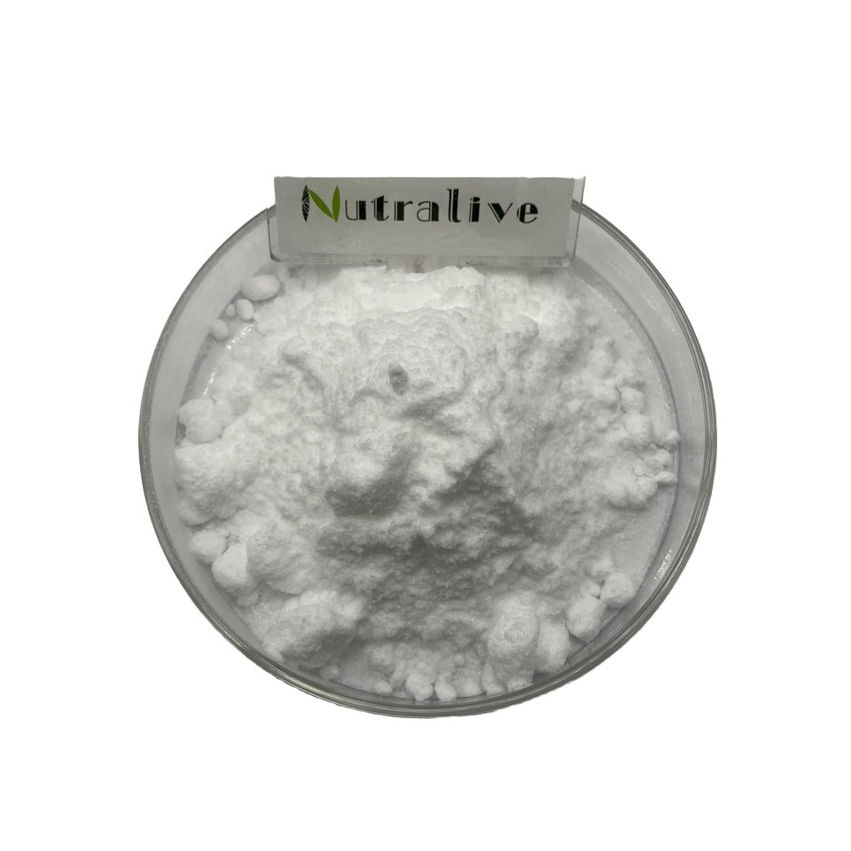 Creatine Monohydrate Powder