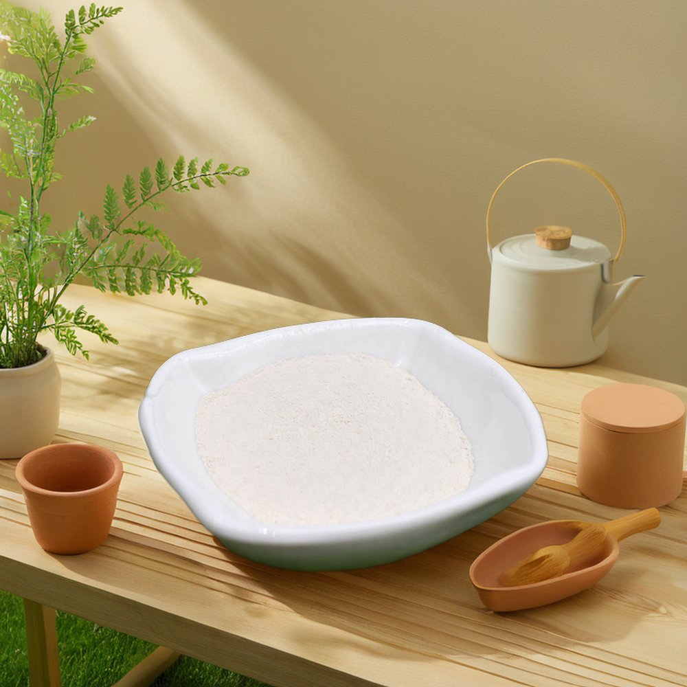Shellight Factory Wholesale Hot Sale Water Soluble Mushroom Chitosan
