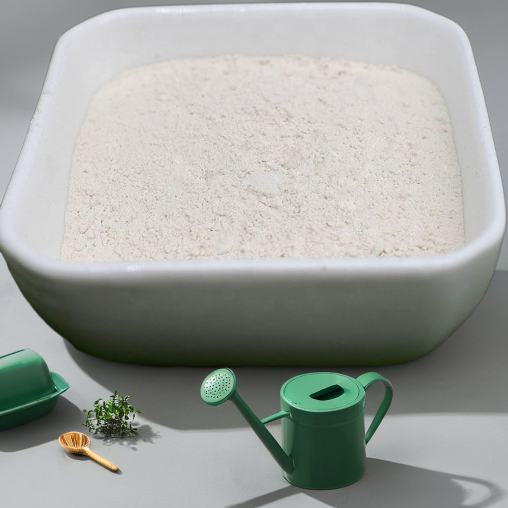 Shellight Factory Wholesale Hot Sale Water Soluble Mushroom Chitosan