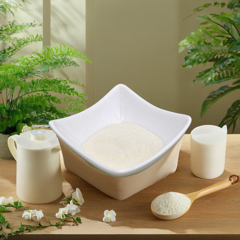 Shellight Factory Wholesale Hot Sale Water Soluble Mushroom Chitosan