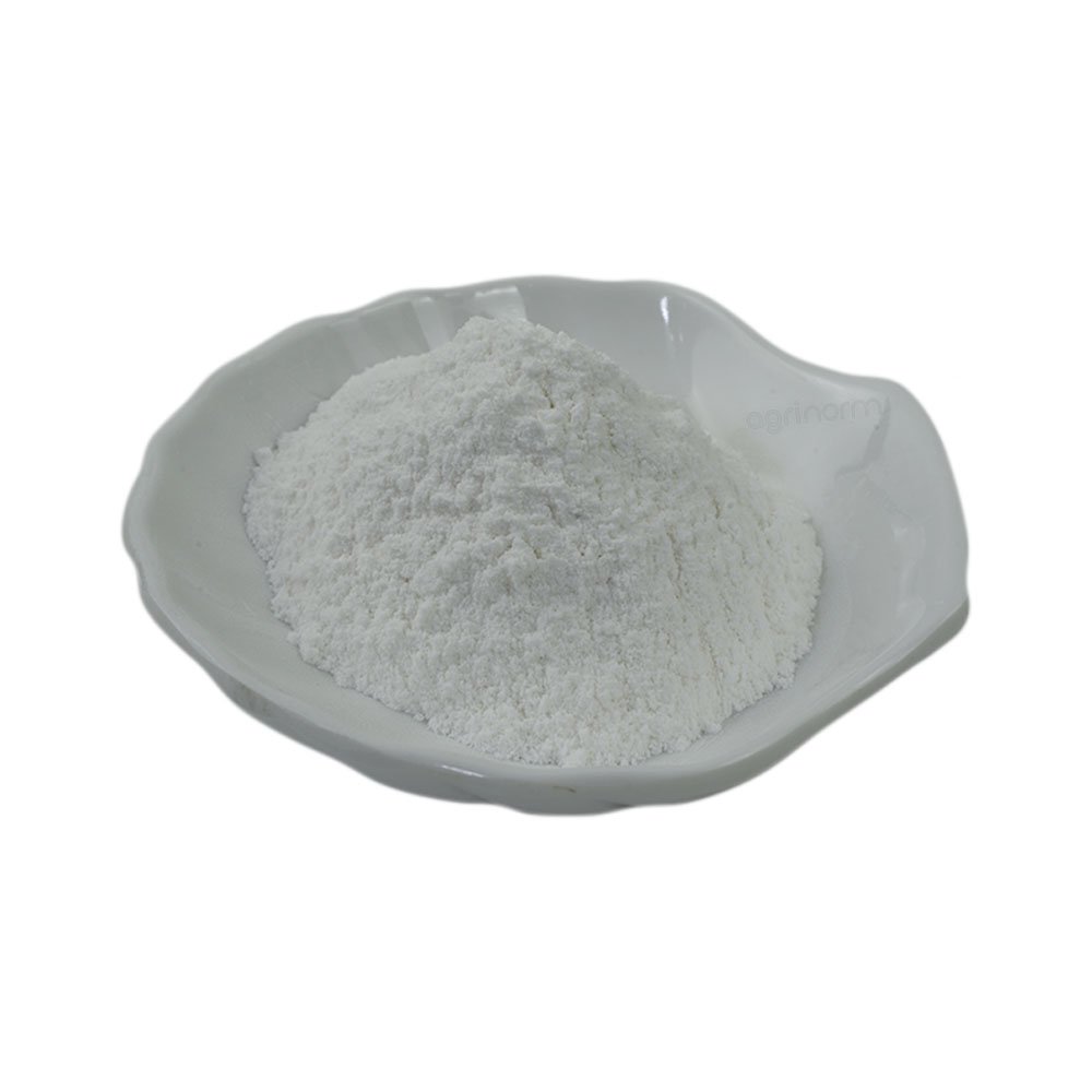 Agrinorm Supplier China Made Phenylalanine - Food Grade 99% L-Phenylalanine Food additives Feed additives