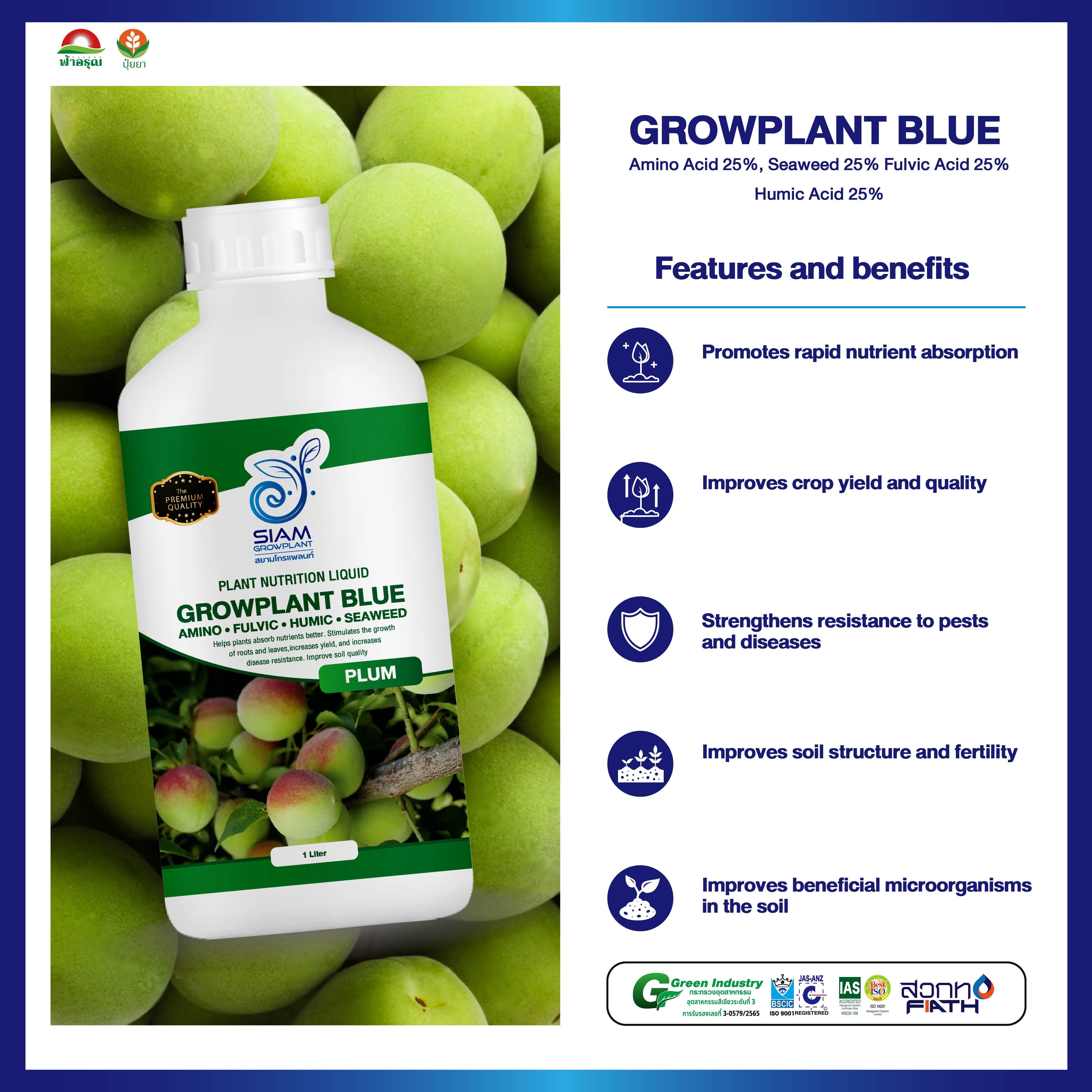 GROWPLANT BLUE Liquid Amino Humic Fulvic Seaweed Fertilizer for Soil Nutrition for Plum Trees in Thailand for Agriculture