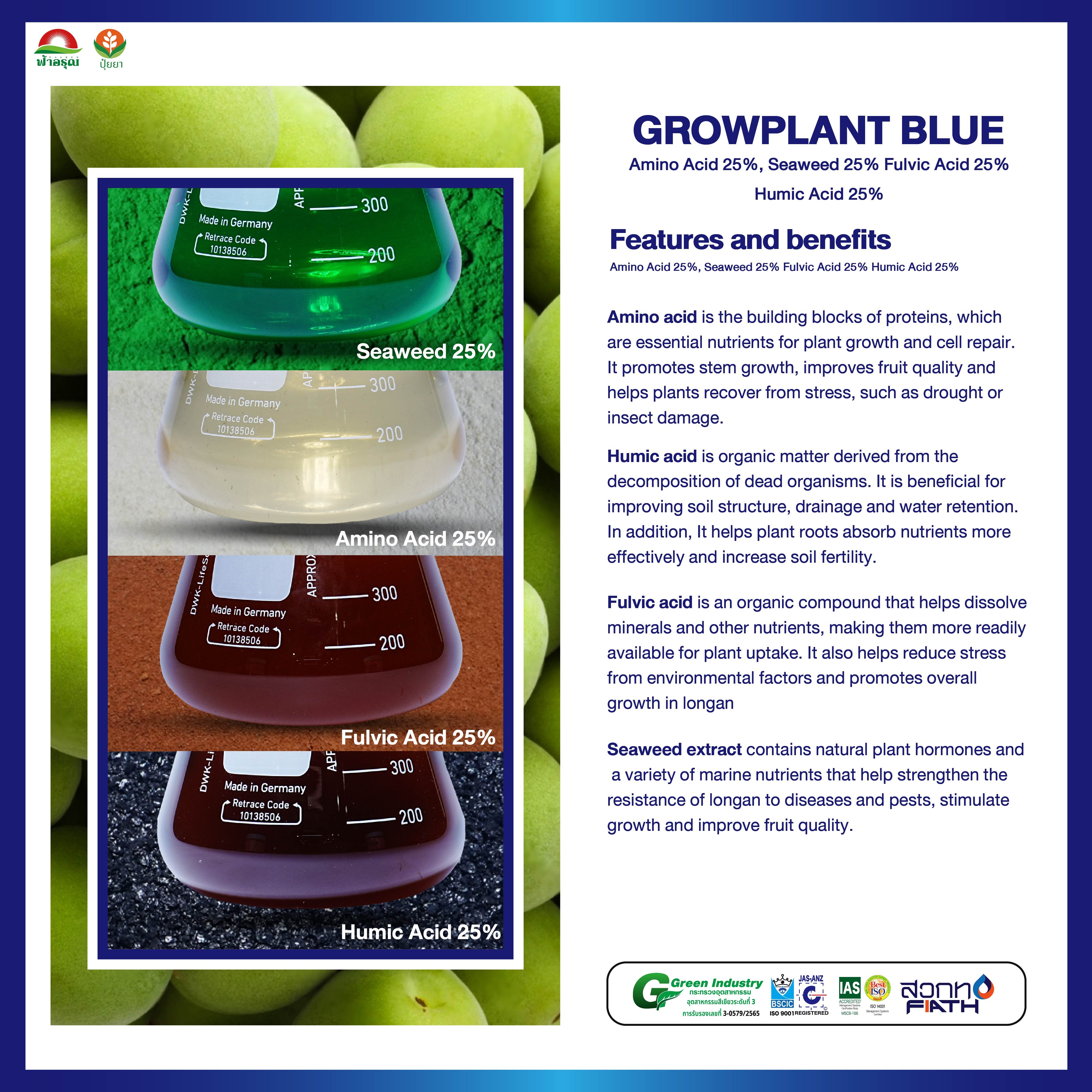GROWPLANT BLUE Liquid Amino Humic Fulvic Seaweed Fertilizer for Soil Nutrition for Plum Trees in Thailand for Agriculture